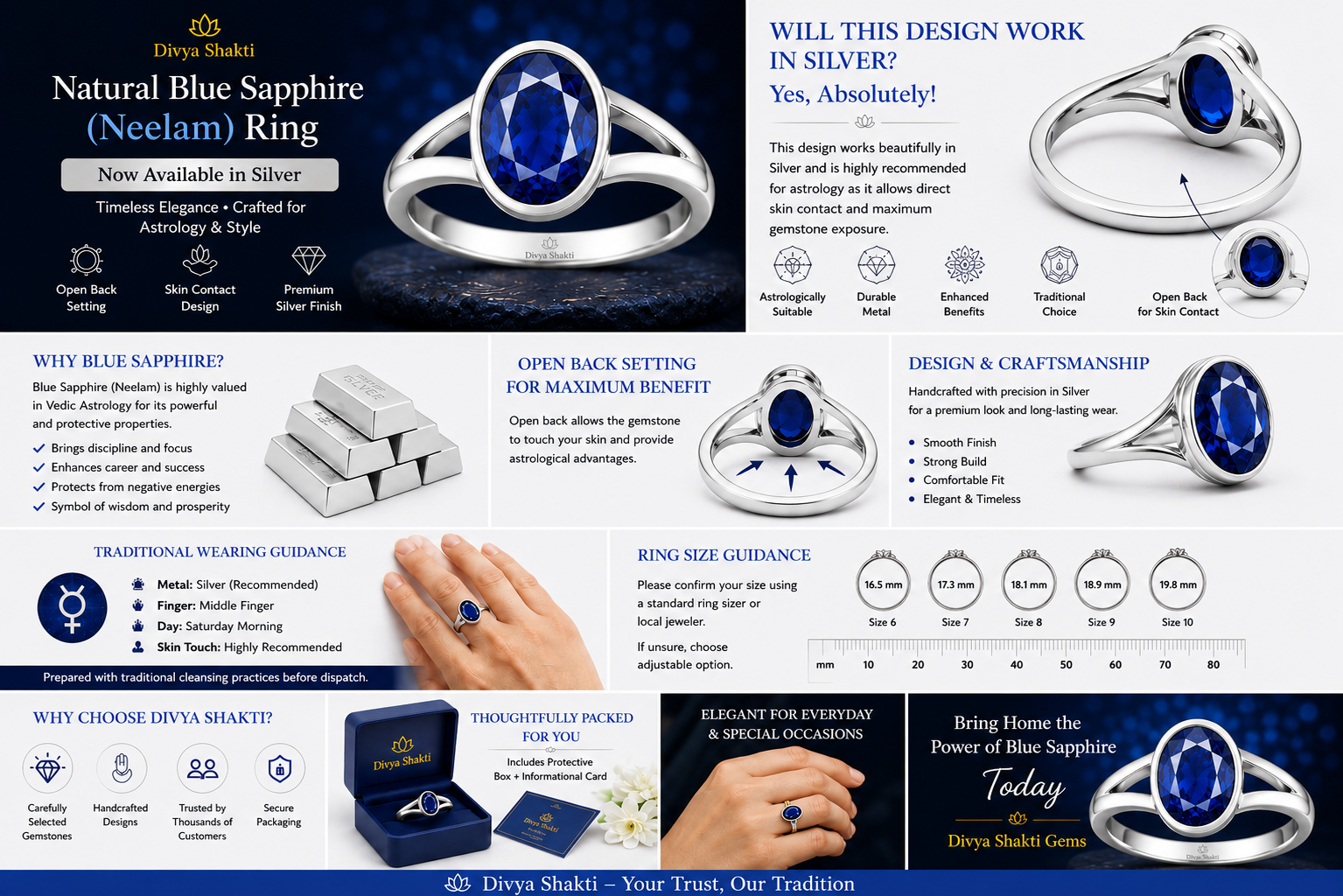 neelam silver1